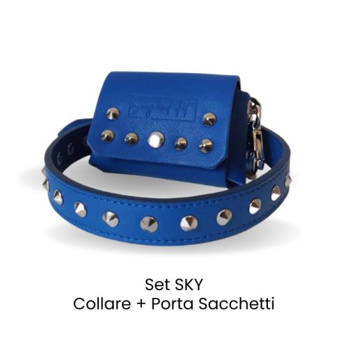 set cani in vera pelle con borchie