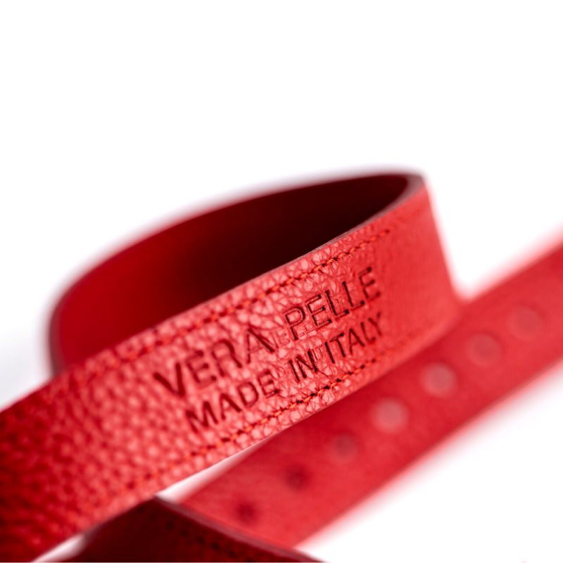 Pettorina cane ad H in vera pelle dollaro rossa - Imagen 2