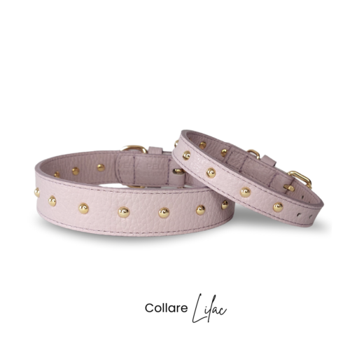 collare cane in vera pelle con borchie