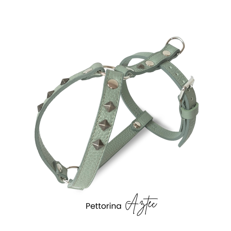 pettorina in vera pelle