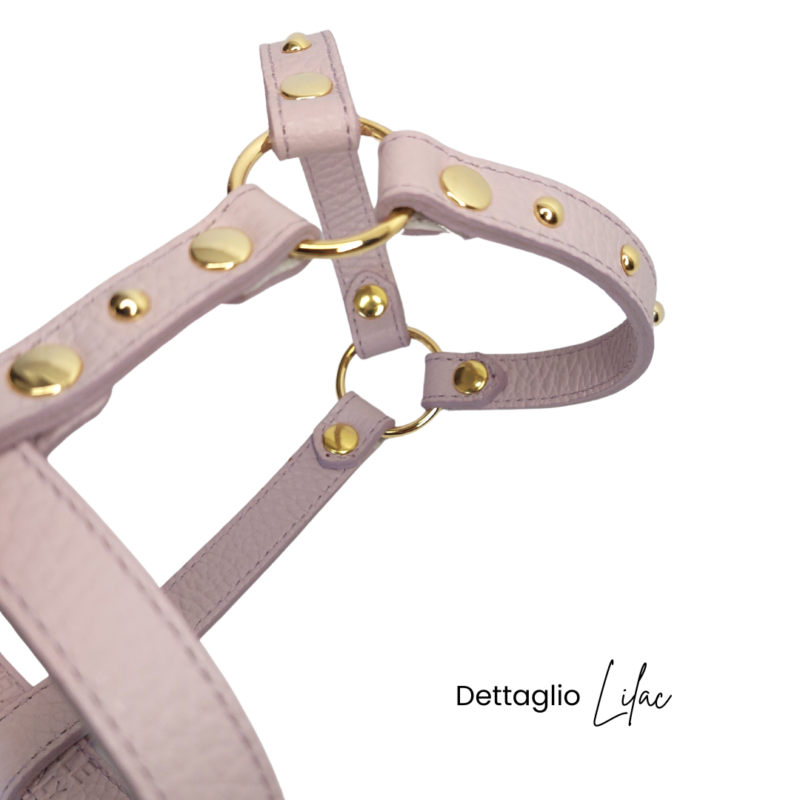 Pettorina cane LILAC in vera pelle dollaro lilla - immagine 2