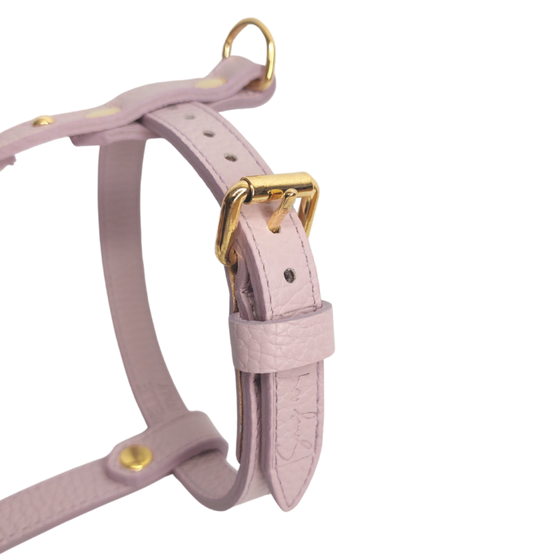 Pettorina cane LILAC in vera pelle dollaro lilla - immagine 3