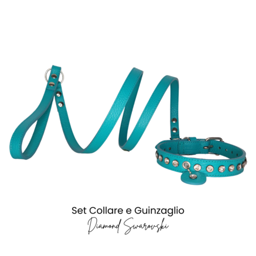 collare e guinzaglio color tiffany
