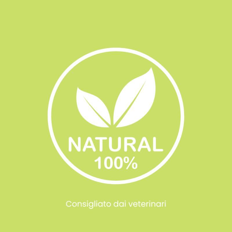 Antiparassitario Naturale Olio di Neem per Cani e Gatti - Spray 75ml - 100% Naturale - immagine 4