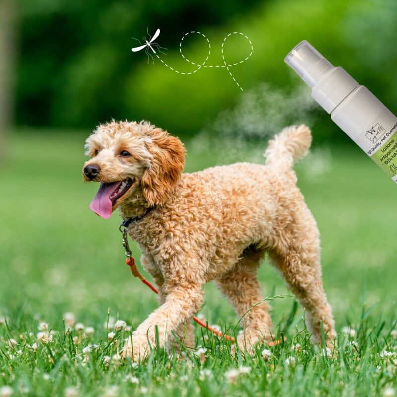 Antiparassitario Naturale Olio di Neem per Cani e Gatti - Spray 75ml - 100% Naturale - immagine 2