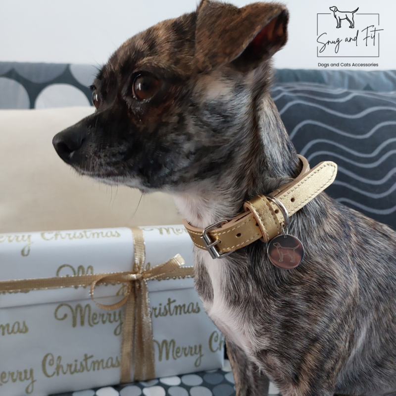 Collare cane artigianale in vera pelle Oro - Limited Edition - immagine 3