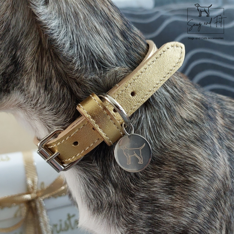 Collare cane artigianale in vera pelle Oro - Limited Edition - immagine 2
