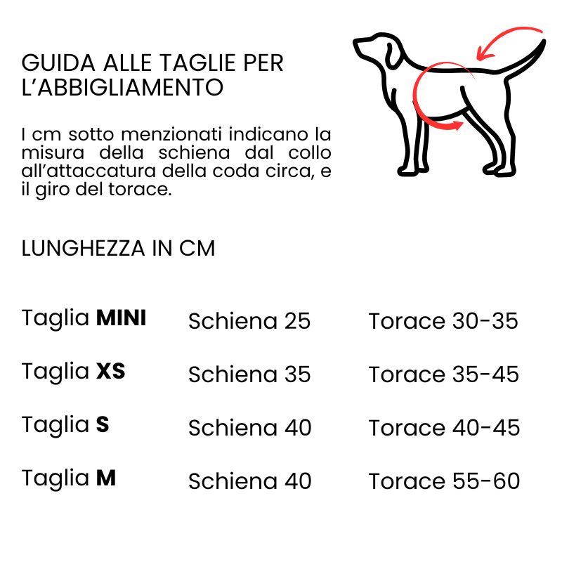 Teddy Celeste | Cappottino per cani | Limited Edition | Realizzato a Mano | Made in Italy - immagine 5