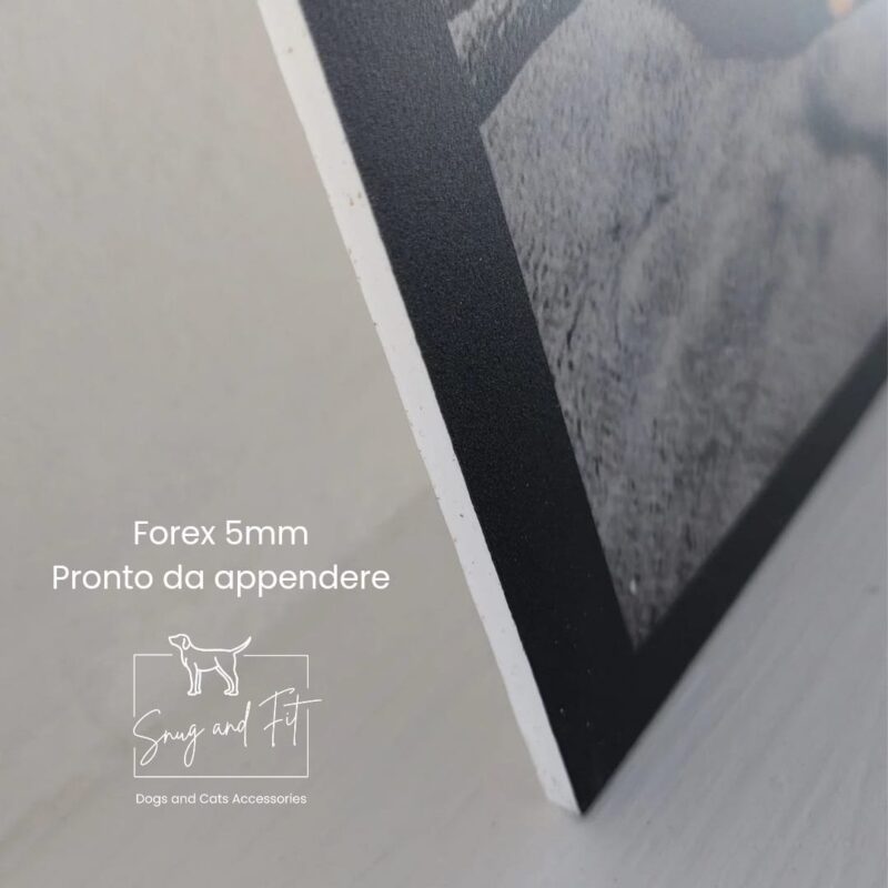 Quadro Stampa su Forex - Foto del tuo animale - Decorazione pronta da appendere - immagine 3