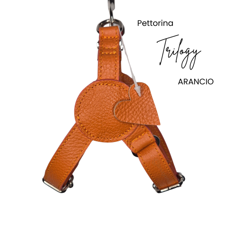 Pettorina per cani TRILOGY in vera pelle arancio